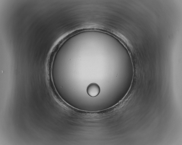 X0000110691120200906191502