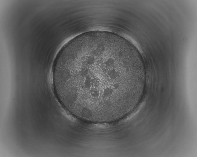 X0000110691125200906191502