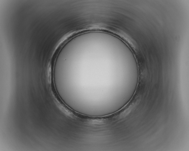 X0000110691126200906191502