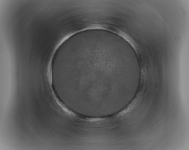 X0000110691127200906191502