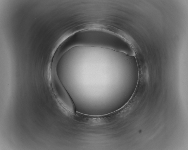 X0000110691128200906191502