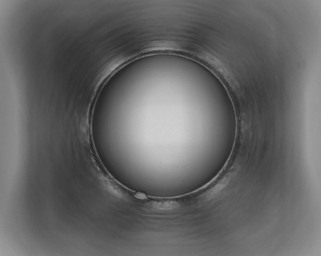 X0000110691129200906191502