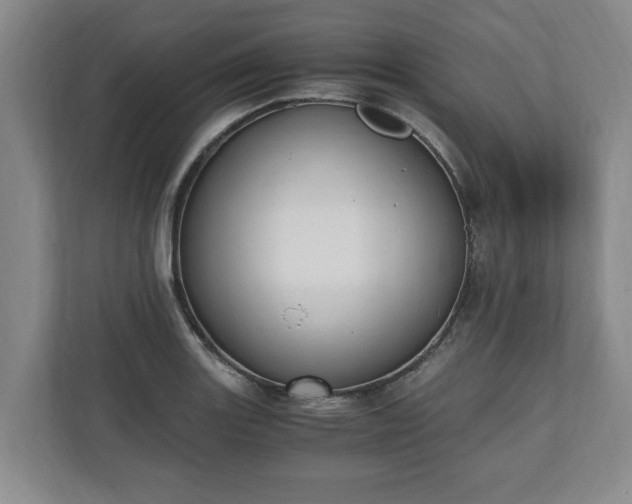 X0000110691131200906191502