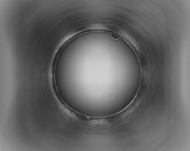 X0000110691133200906191502