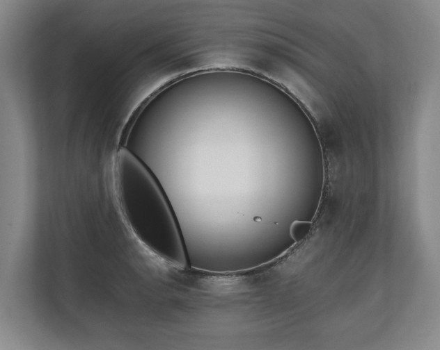 X0000110691134200906191502