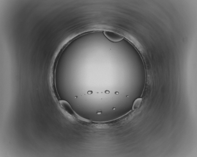 X0000110691136200906191502