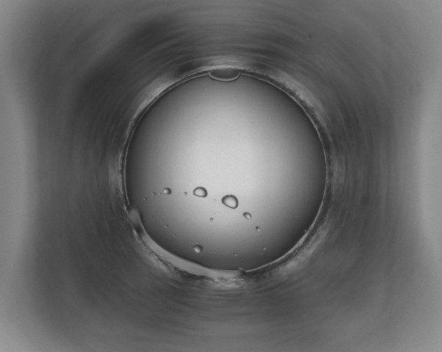 X0000110691137200906191502