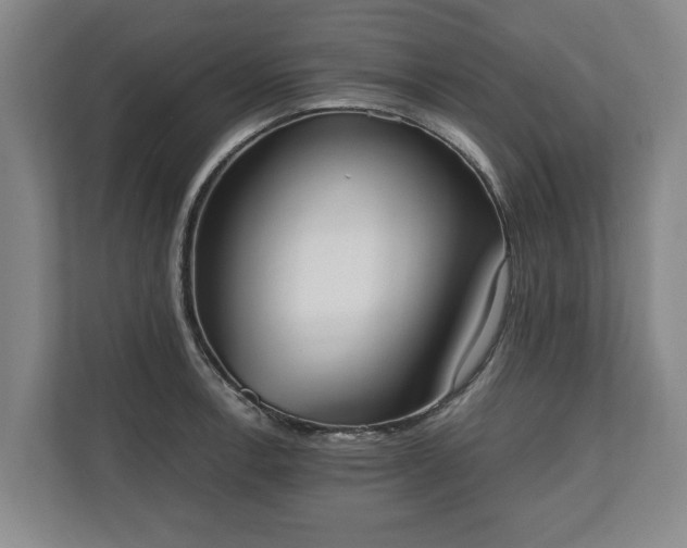 X0000110691138200906191502