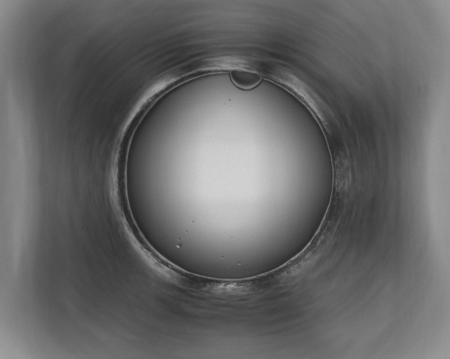 X0000110691139200906191502