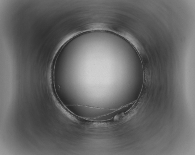 X0000110691142200906191502