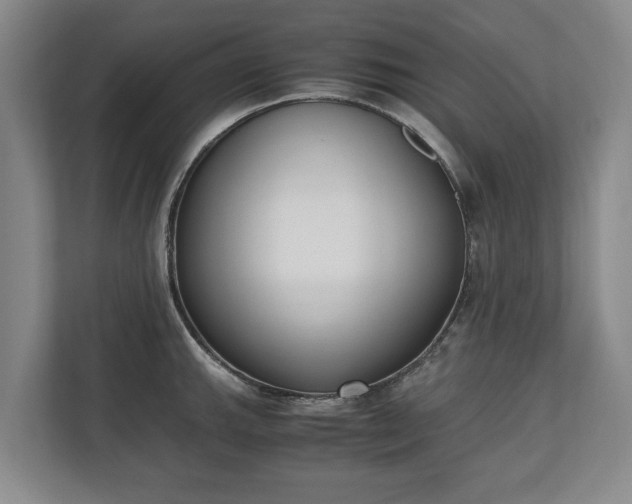 X0000110691143200906191502