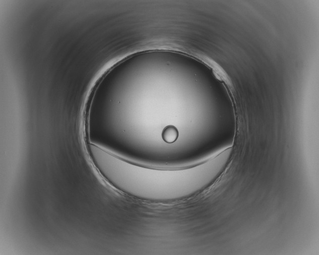 X0000110691144200906191502