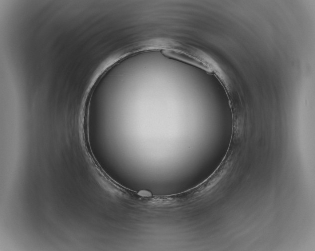 X0000110691146200906191502