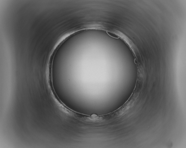 X0000110691147200906191502