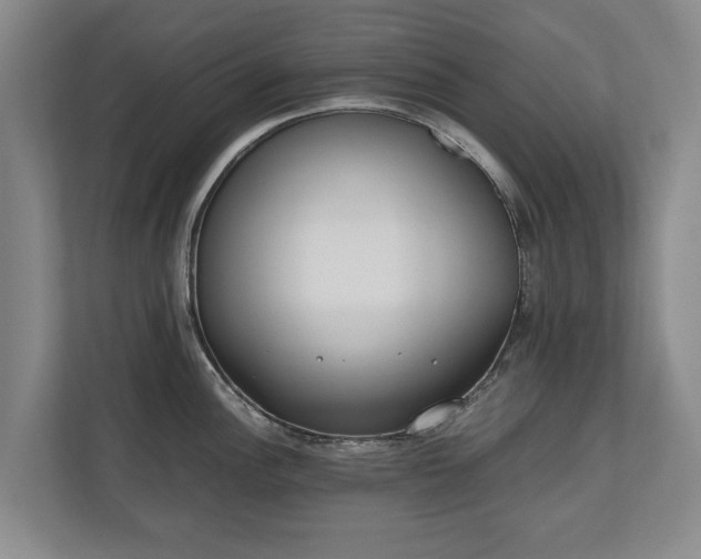 X0000110691148200906191502