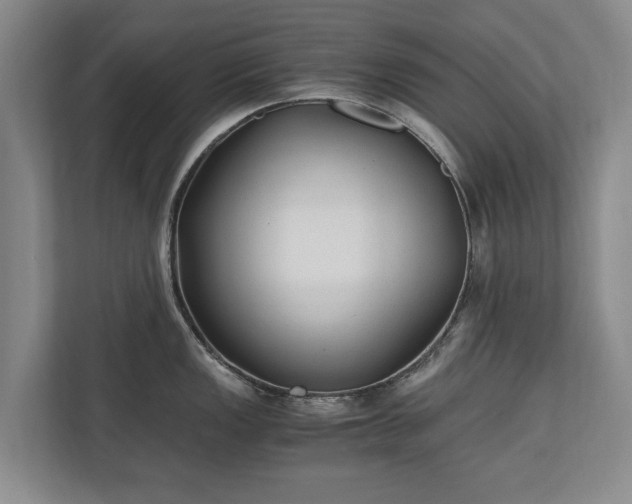 X0000110691149200906191502