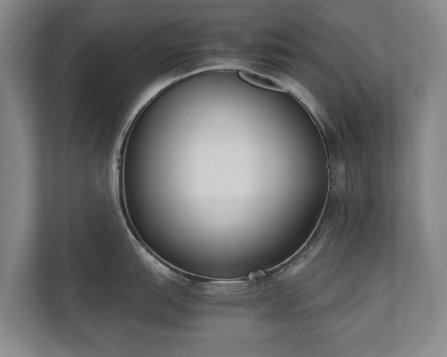 X0000110691151200906191502