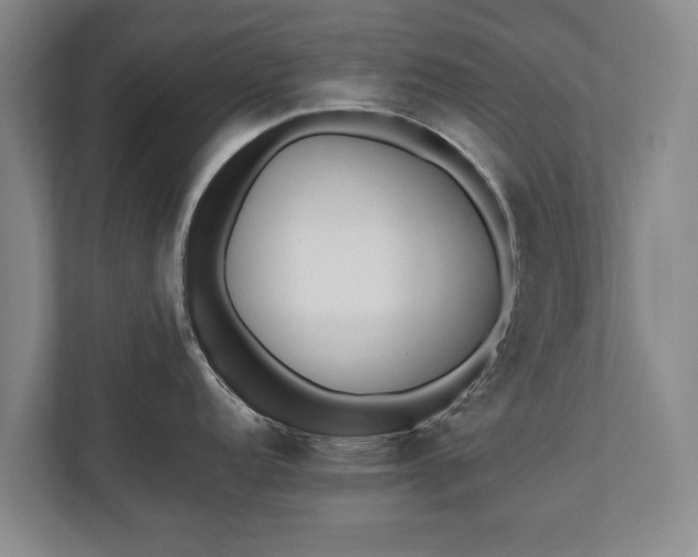 X0000110691152200906191502