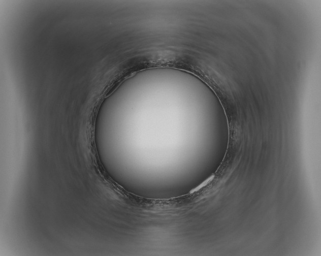 X0000110691153200906191502