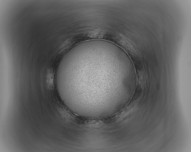 X0000110691154200906191502