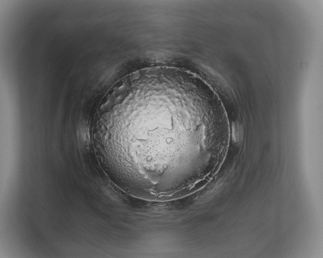 X0000110691155200906191501