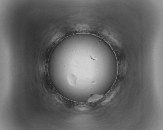 X0000110691157200906191501