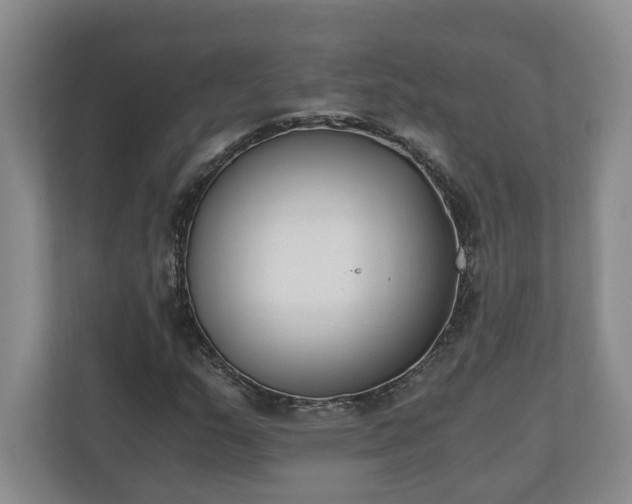 X0000110691159200906191501