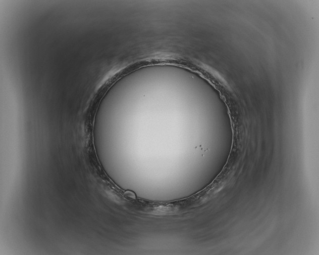 X0000110691160200906191501