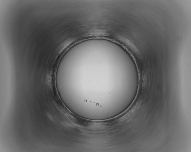 X0000110691162200906191501