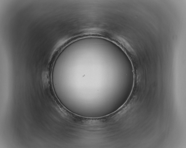 X0000110691164200906191501