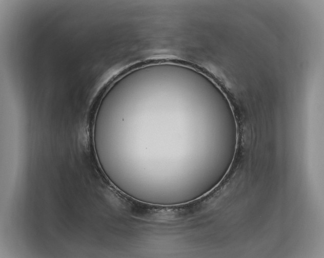 X0000110691167200906191501