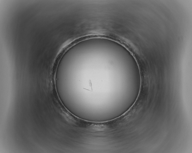 X0000110691168200906191501