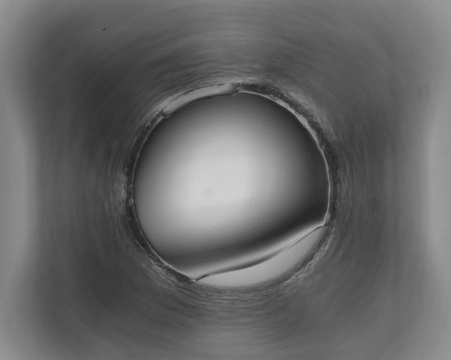 X0000110691169200906191501