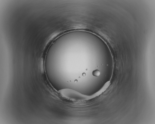 X0000110691171200906191501