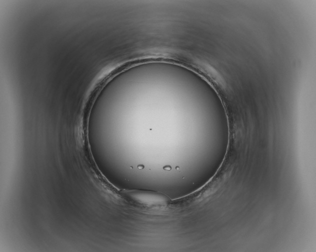 X0000110691172200906191501