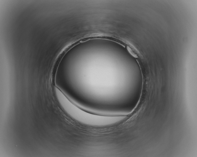 X0000110691173200906191501