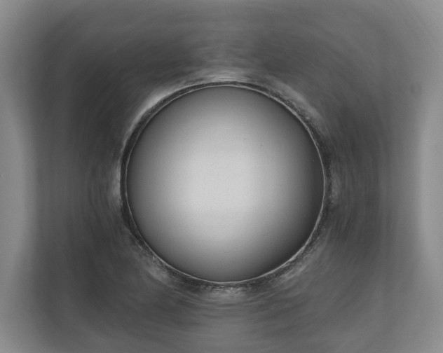 X0000110691174200906191501