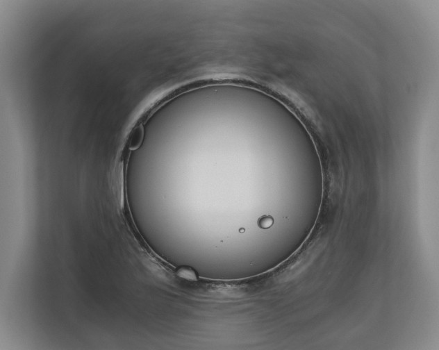 X0000110691175200906191501