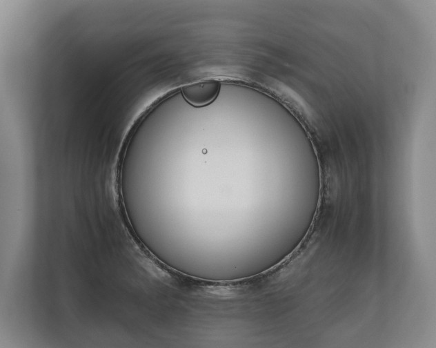 X0000110691182200906191501