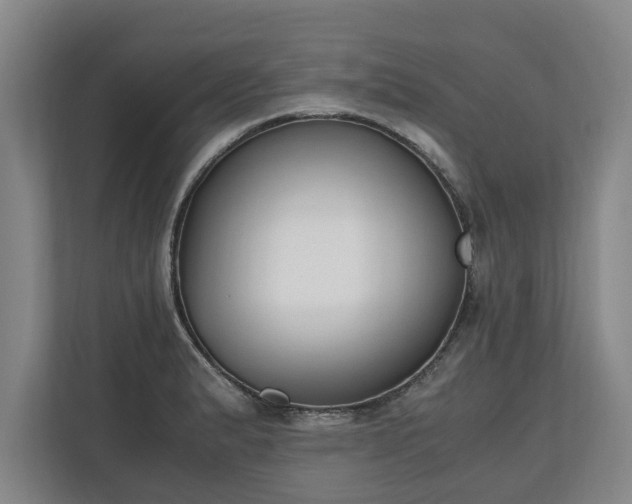 X0000110691183200906191501