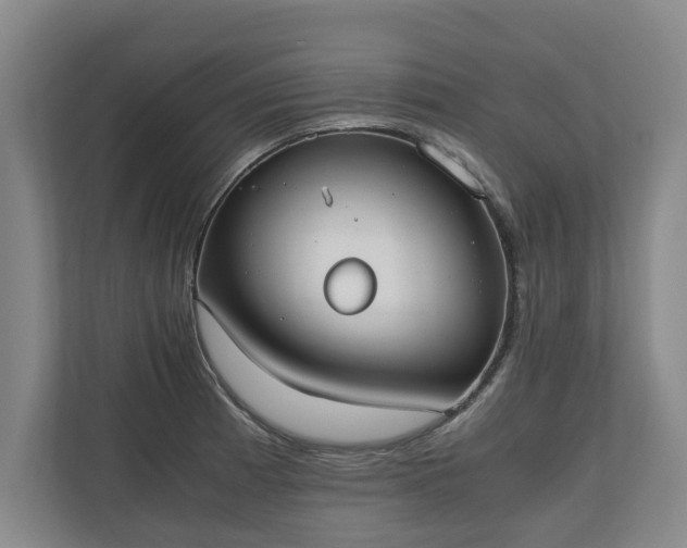 X0000110691185200906191501