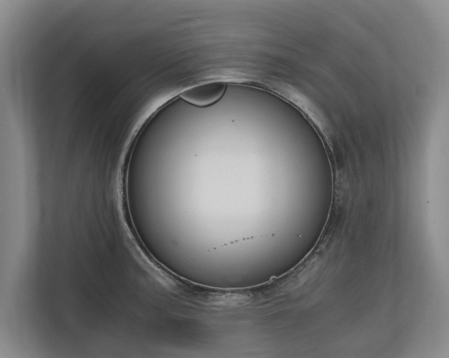 X0000110691187200906191501