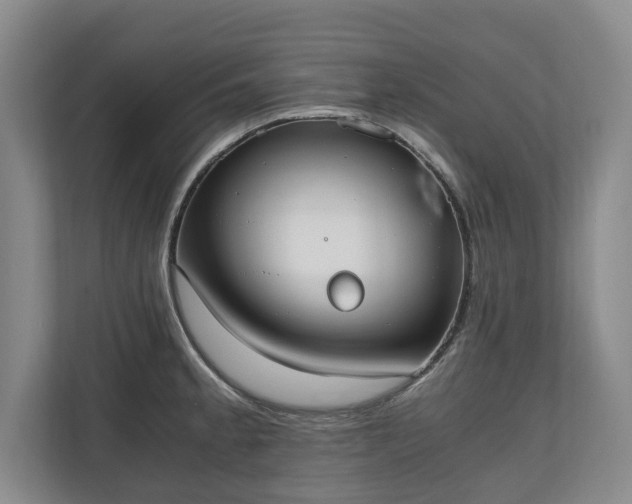 X0000110691189200906191501