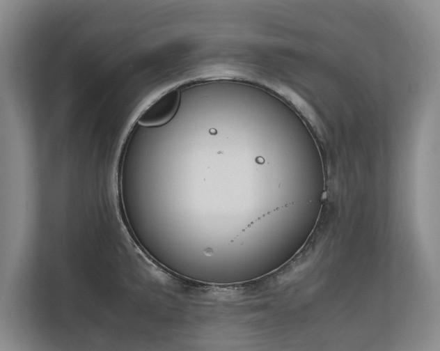 X0000110691191200906191501