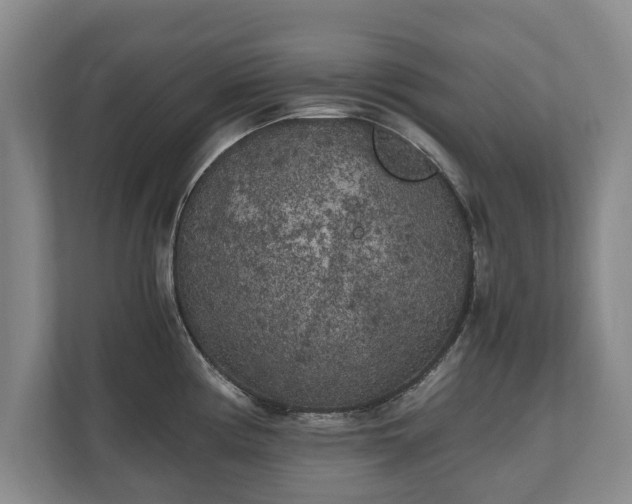 X0000110691194200906191501