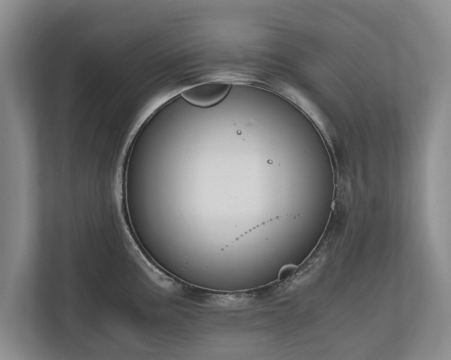 X0000110691195200906191501