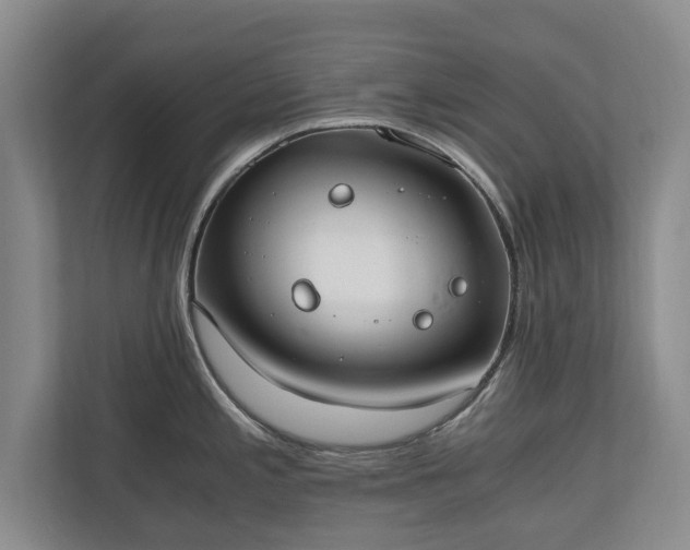 X0000110691197200906191501