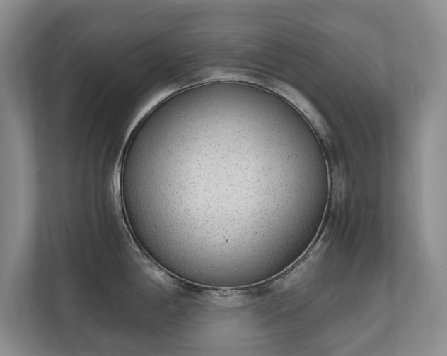 X0000110691198200906191501