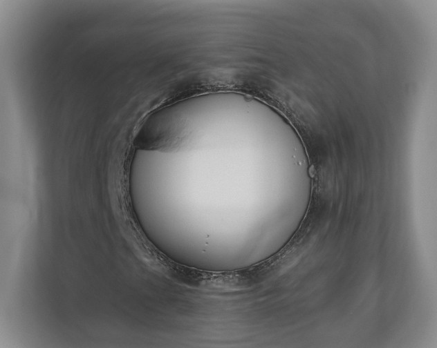 X0000110691201200906191500