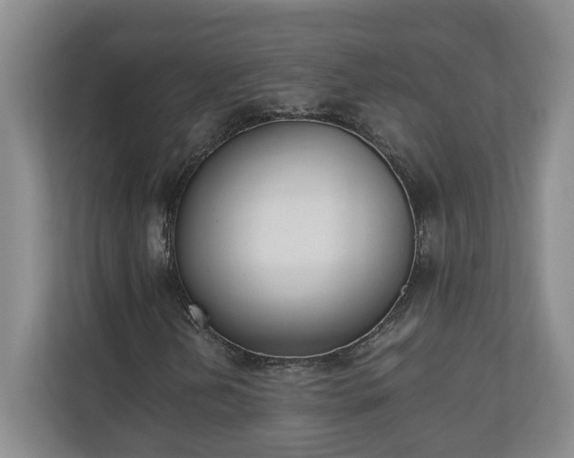 X0000110691202200906191500